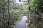 T aranake falls (4)